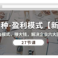 27ӯģʽ°桿ģʽ׬Ǯҵ (27ڿ)