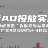 ADͶʵսΣȲǱ뱩ʵֹROI300%+