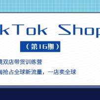 TikTok Shop +羳˫ѵӪռȫһȫ