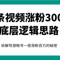 һƵǷ300Wײ߼˼·⵼˺һҹǷ۰