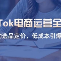 TikTokӪȫԣѡƷۣͳɱ