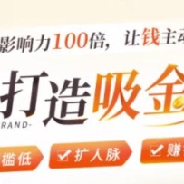 IP00ԴҲӰ100Ǯ㣡