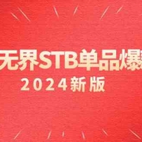 ϵ޽STBƷΣ2024Ѵѵĺ߼ؼƹ/׼
