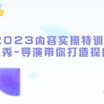 2023ʵѵӪ-ݴ̽IPˮӡ