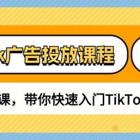 TikTokͶſγ̣0-1ʵսΣTikTokͶţ30ڿΣ