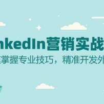 LinkedInӪʵսָϣרҵɣ׼óͻ