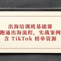 ѵΣ̣ͨʵս⣬ TikTok Դ