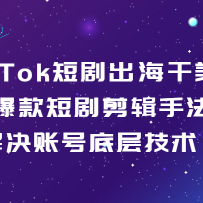 TikTok̾-ַ̾˺ŵײ㼼